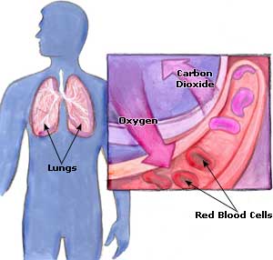 Anaemia Picture