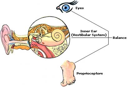 Dizziness Symptoms, Causes, Treatment Dizziness Picture