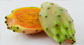 test slide 10